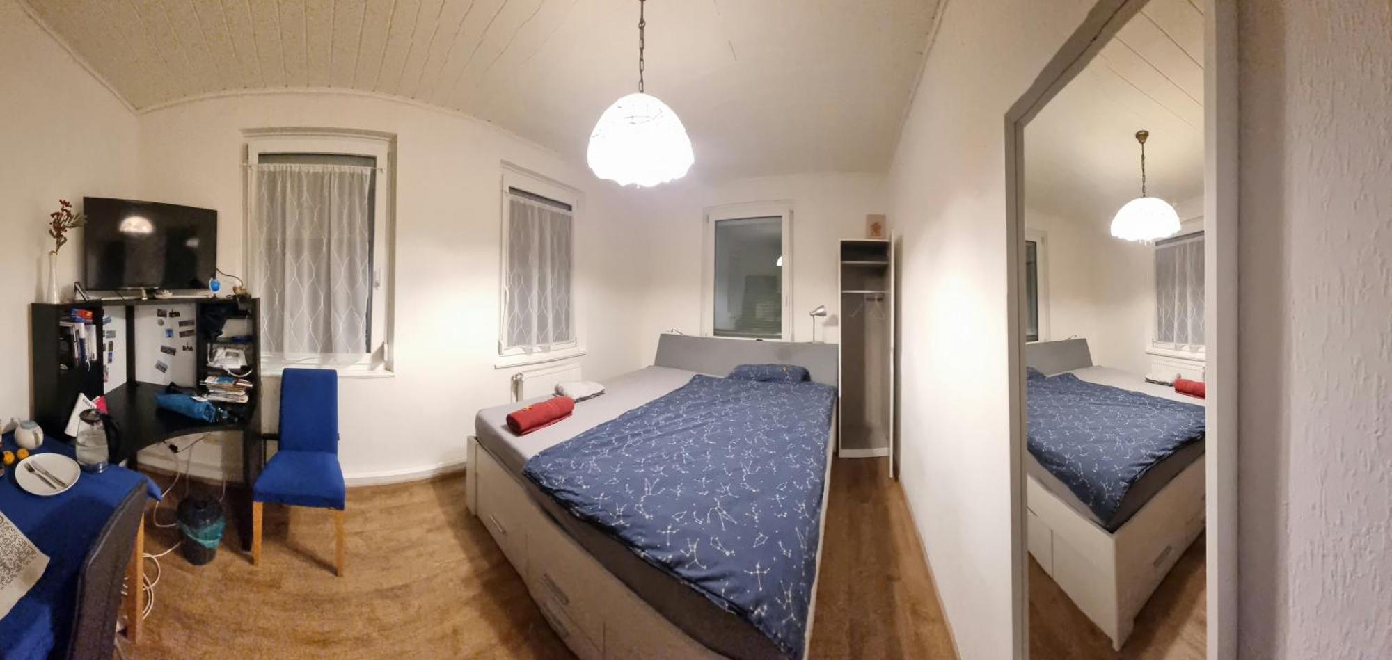 Charmantes Helles Zimmer Zentrumnah Und Naturnah Göppingen Eksteriør billede